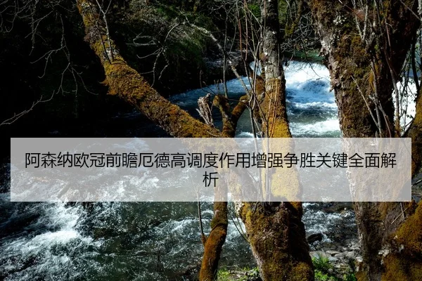 阿森纳欧冠前瞻厄德高调度作用增强争胜关键全面解析